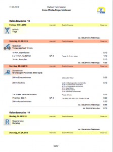 Triathlon Online Trainingsplan Irene
